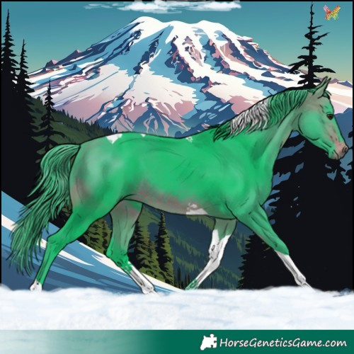 Horse Color:Watercolor Brown Tobiano 
