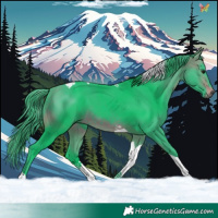 Horse Color:Watercolor Brown Tobiano