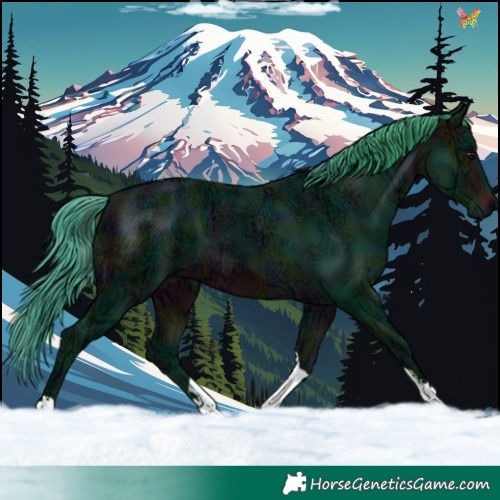 Horse Color:Watercolor Midnight Brown Ice Tobiano 