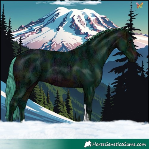 Horse Color:Watercolor Midnight Brown Ice Tobiano