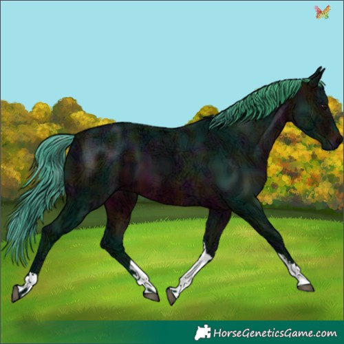 Horse Color:Watercolor Midnight Brown Ice Tobiano 