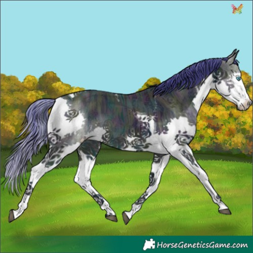 Horse Color:Watercolor Midnight Brown Ice Splash Tobiano 