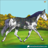 Horse Color:Watercolor Midnight Brown Ice Splash Tobiano 