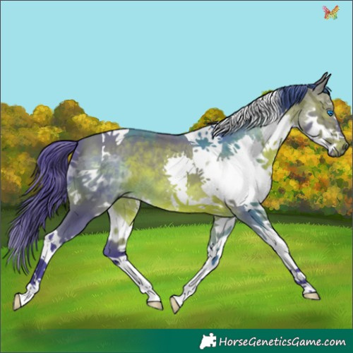 Horse Color:Watercolor Brown Splash Tobiano