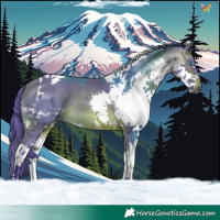 Horse Color:Watercolor Brown Splash Tobiano 