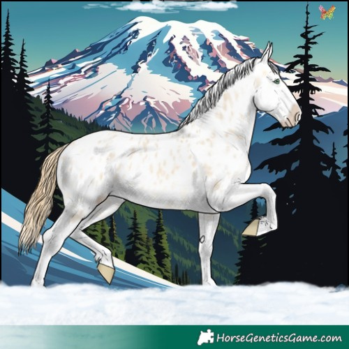 Horse Color:Amber Cream Champagne Ice Dun Sabino Appaloosa Rabicano 