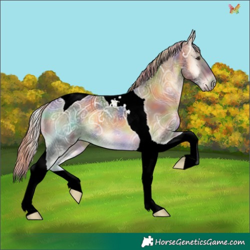Horse Color:Nacre Chocolate Palomino Ice Onyx Tobiano