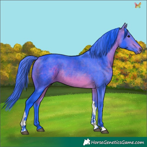 Horse Color:Watercolor Bay Tobiano 