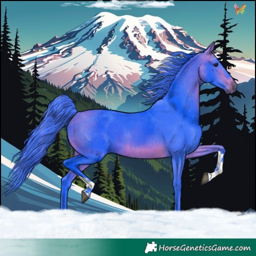 Horse Color:Watercolor Bay Tobiano
