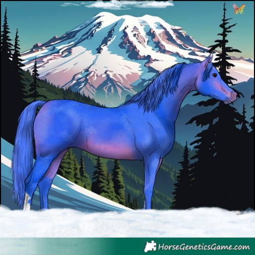Horse Color:Watercolor Bay Tobiano 
