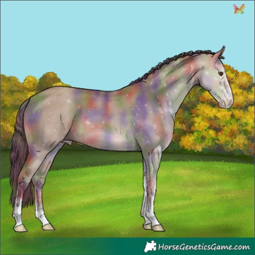 Horse Color:Nacre White Spotted Classic Champagne Dun 