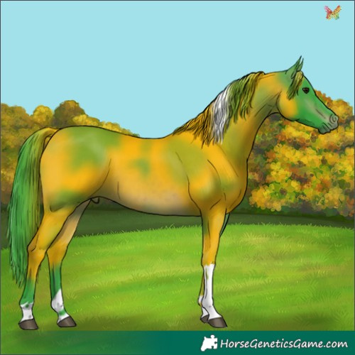 Horse Color:Watercolor Brown Tobiano 