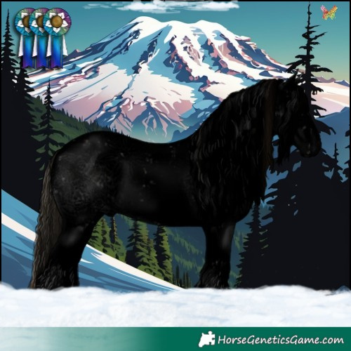 Horse Color:Void Plaid  White Spotted Classic Champagne Ice Onyx Sabino 