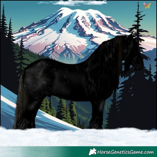 Horse Color:Void Plaid  White Spotted Classic Champagne Ice Onyx Sabino 