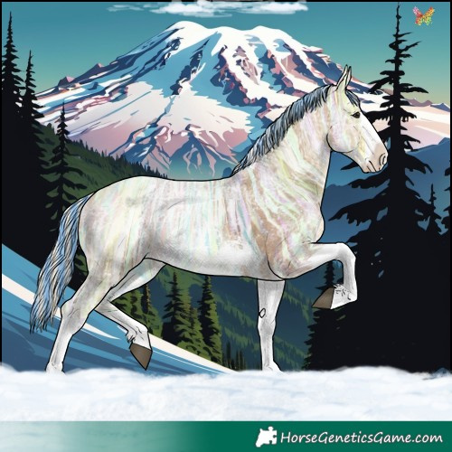 Horse Color:Painted Silver Bay Ice Sabino Tobiano