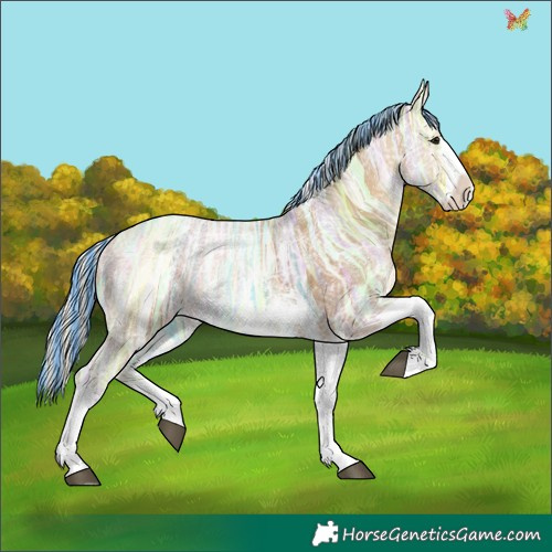 Horse Color:Painted Silver Bay Ice Sabino Tobiano 