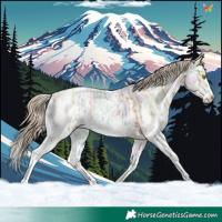 Horse Color:Gold Champagne Ice Sabino 