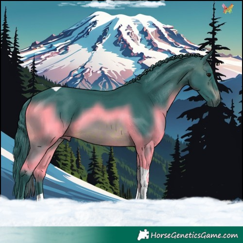 Horse Color:Watercolor Brown Tobiano 