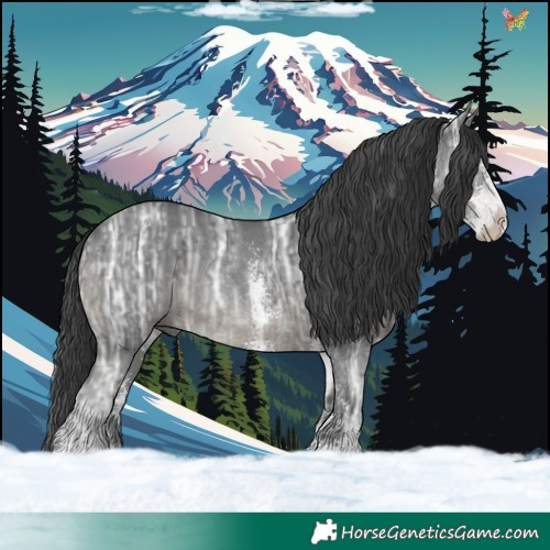 Horse Color:Black Ice Sabino 