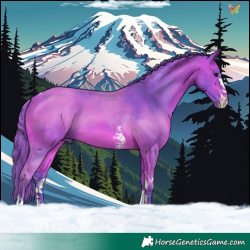 Horse Color:Watercolor Bay Sabino Tobiano 