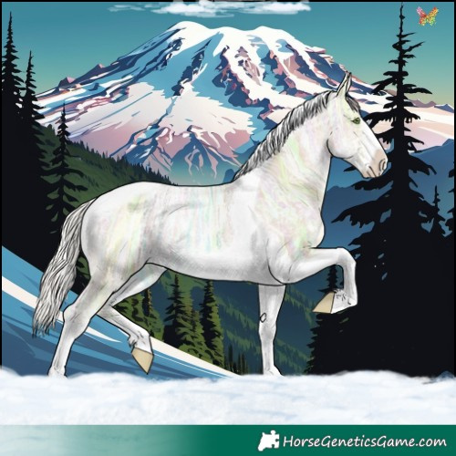 Horse Color:Silver Classic Champagne Ice Dun Sabino Tobiano 