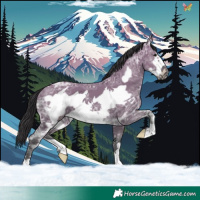 Horse Color:Smoky Grullo Ice Frame 