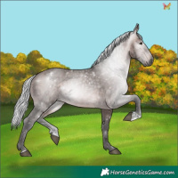 Horse Color:Gray Platinum Silver Bay