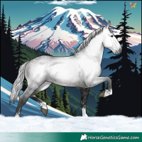 Horse Color:Gray Platinum Silver Brown 
