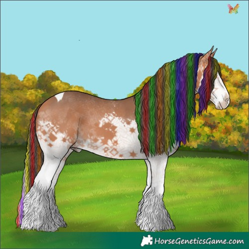 Horse Color:Painted Bay Sabino Splash Tobiano 