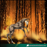 Horse Color:Classic Champagne