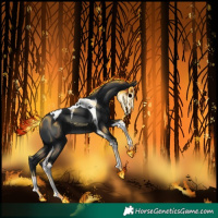 Horse Color:Black Tobiano 