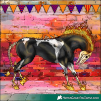 Horse Color:Black Tobiano 