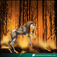 Horse Color:Classic Champagne Tobiano