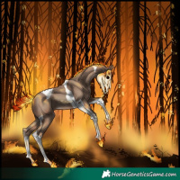 Horse Color:Classic Champagne Tobiano