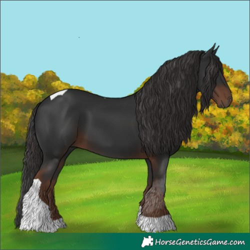 Horse Color:Liver Chestnut Tobiano 