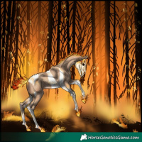 Horse Color:Amber Champagne Tobiano 