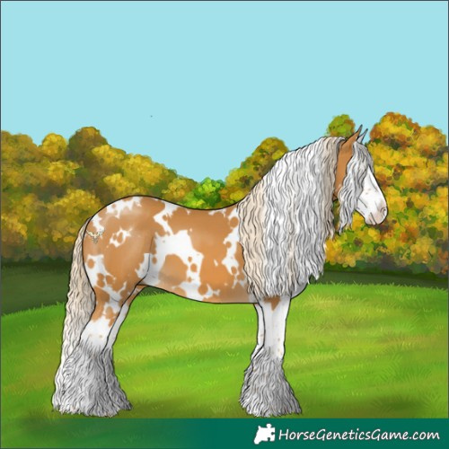 Horse Color:White Spotted Palomino Splash 
