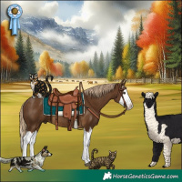 Horse Color:Chocolate Palomino Splash