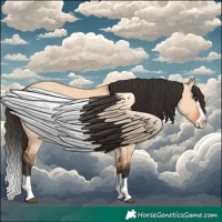 Horse Color:Bay Dun Splash 