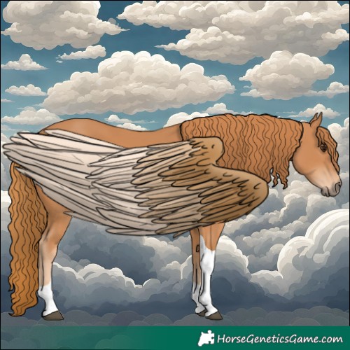 Horse Color:Chestnut Tobiano