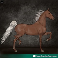 Horse Color:Silver Black 
