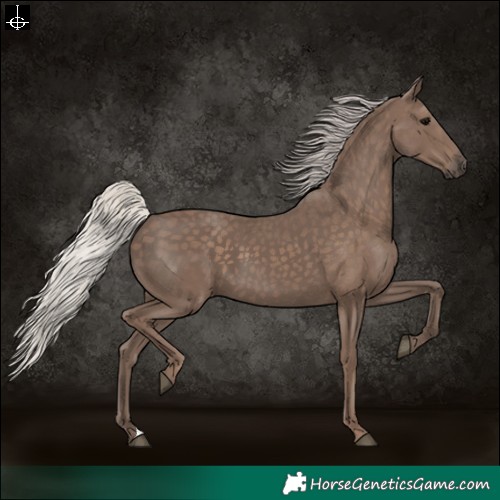 Horse Color:Silver Black 