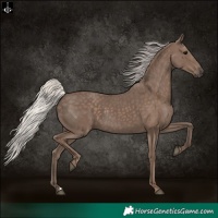 Horse Color:Silver Black 