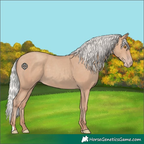 Horse Color:Silver Classic Champagne