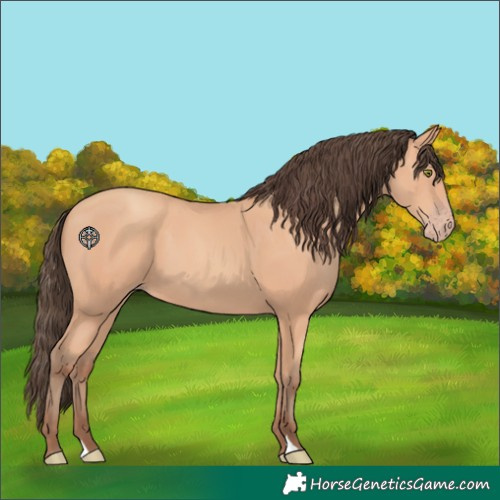 Horse Color:Amber Champagne 