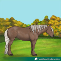 Horse Color:Silver Black 