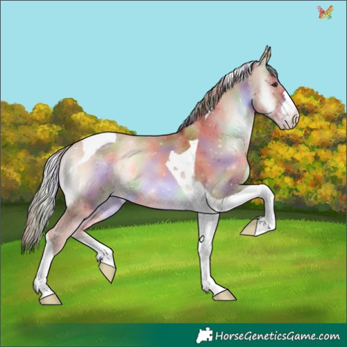 Horse Color:Nacre Gold Champagne Onyx Tobiano