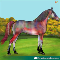 Horse Color:Nacre White Spotted Blue Onyx 