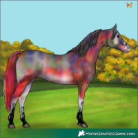 Horse Color:Nacre White Spotted Blue Onyx 