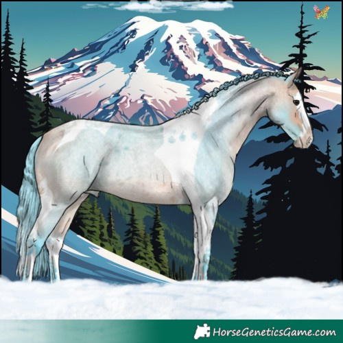 Horse Color:Watercolor Bay Roan Splash Tobiano 